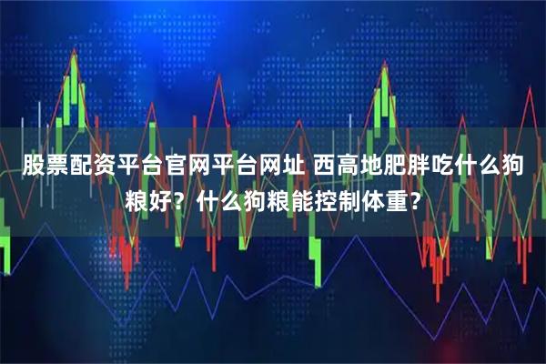 股票配资平台官网平台网址 西高地肥胖吃什么狗粮好？什么狗粮能控制体重？