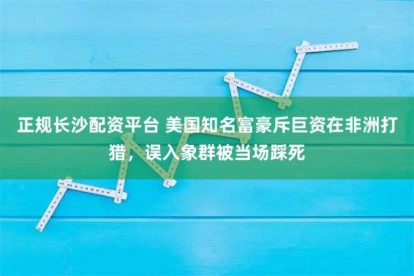正规长沙配资平台 美国知名富豪斥巨资在非洲打猎，误入象群被当场踩死